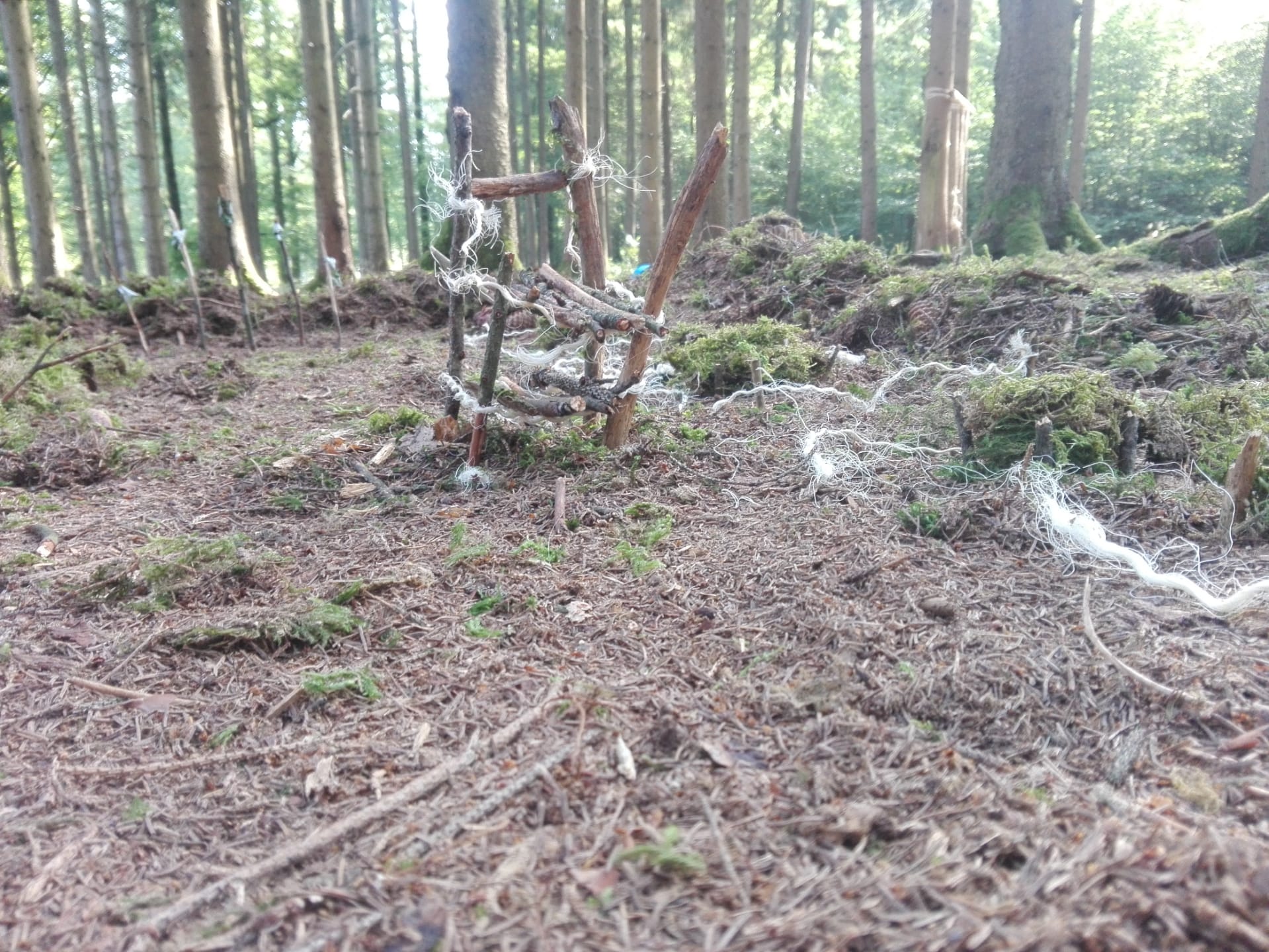 Sint-Martinus den XIIde - Kamp Losange JVK